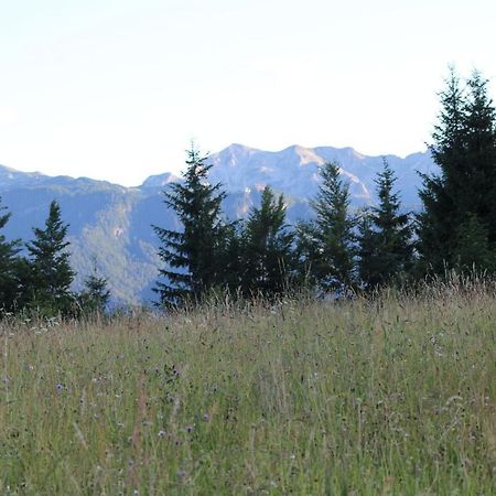 הוילה Srednja Vas v Bohinju Planinska Hisica Pod Macesni - Bohinj מראה חיצוני תמונה